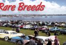 RARE BREEDS – STUDEBAKER CAR CLUB SHOW, GEELONG VIC