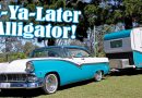 C-YA-LATER ALLIGATOR! – TERRY & PETA HEANEY 1956 FORD VICTORIA