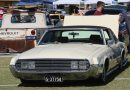 LOW, LOUD AND LOADED AT GREAZEFEST!